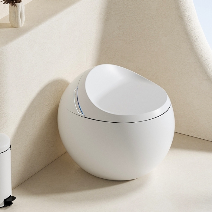 Choosing the Right Smart Toilet for Global Markets