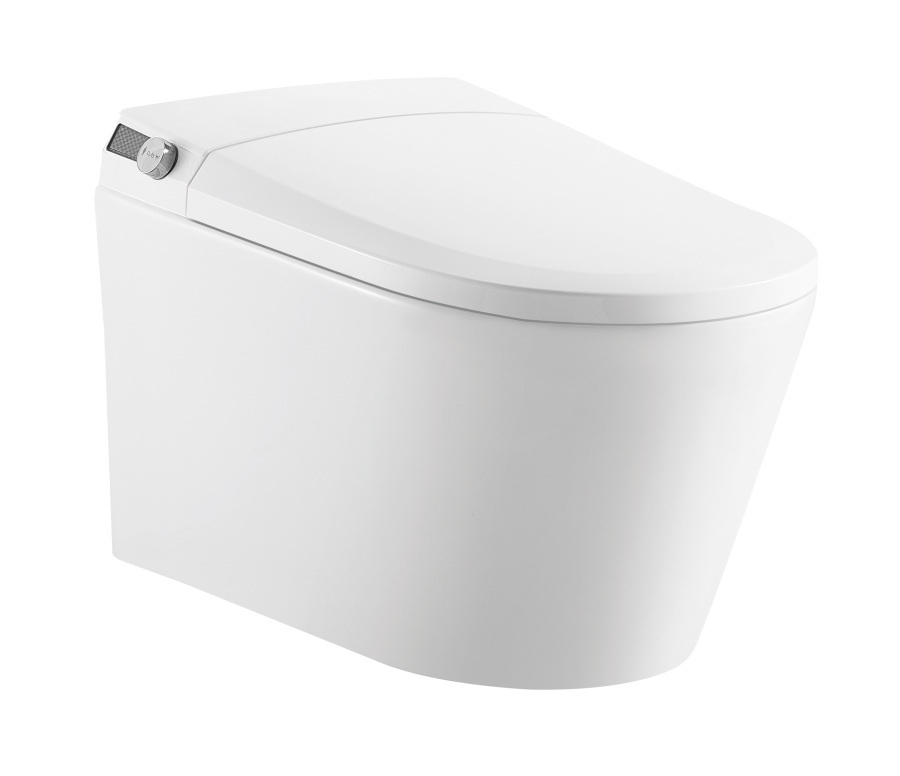 The Ultimate Guide to Choosing an Intelligent Wall Hung Toilet Supplier
