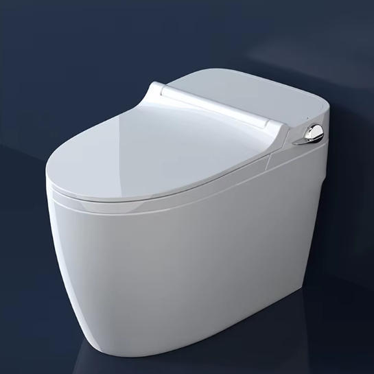The Science Behind Aidibath’s One Piece Toilet: Why Single Piece Toilets Are More Durable & Easy to Clean