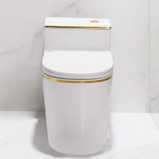 What is the best toilet to buy?