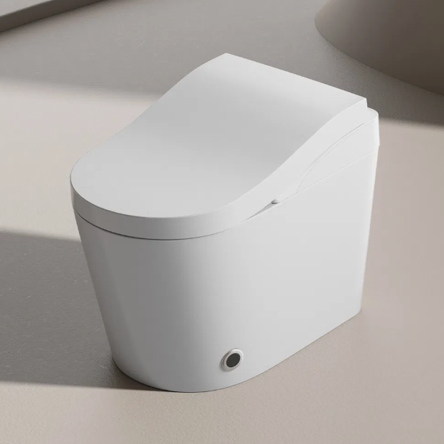 Which is Better, a Ceramic or Porcelain Toilet? Key Differences Explained