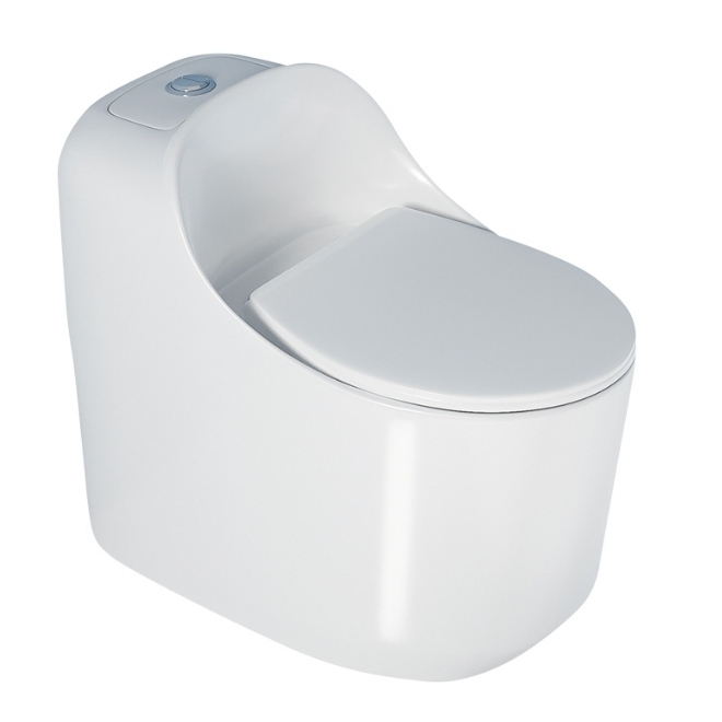 How to Choose the Right Toilet Type for Different Regional Markets