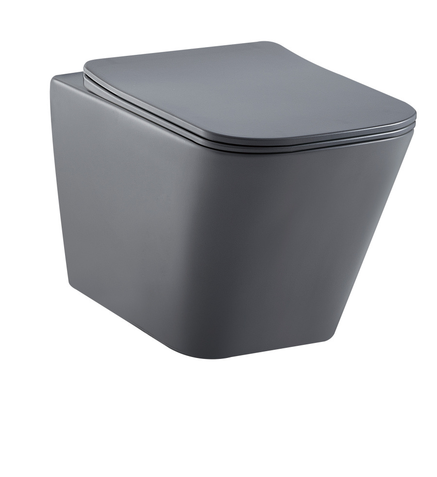 Bathroom Toilet Standards in Different Countries: What Manufacturers Need to Know