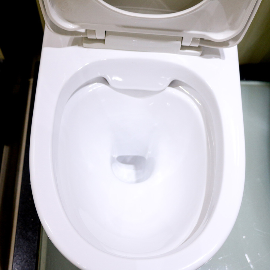 Can It Handle This? Two-Piece Toilet Powerful Flush Test