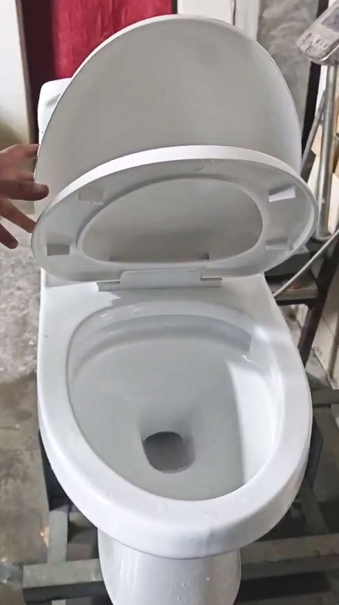 Soft-Close Toilet Seat Demonstration – AIDI One Piece Toilet