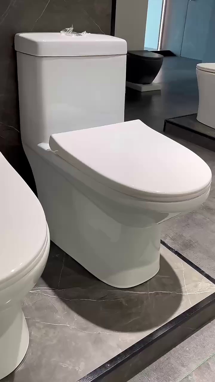 AIDI One Piece Siphonic Toilet – Elongated Ceramic Water Closet for Modern Bathrooms
