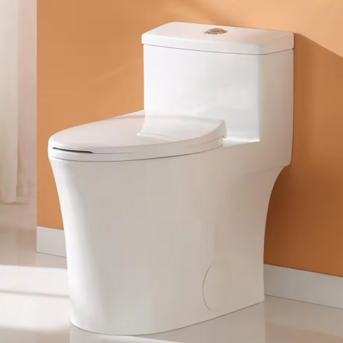 Modern one-piece toilet showcasing seamless integrated design in a bathroom setting