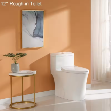 Example of a traditional toilet illustrating weight and handling considerations