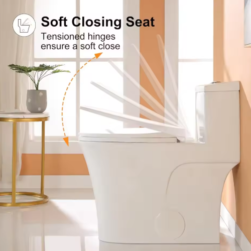 Side-by-side view of toilet types showing structural differences