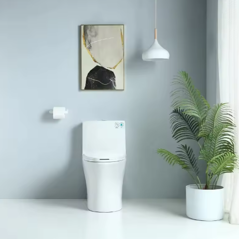 One-piece toilet in a modern bathroom setting