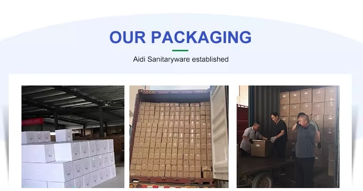 2025  Popular  Single Hole Tornado Wall Hung Toilet Wash Down P Trap  Toilet Europe Hot Ceramic Wall Mounted Toilet