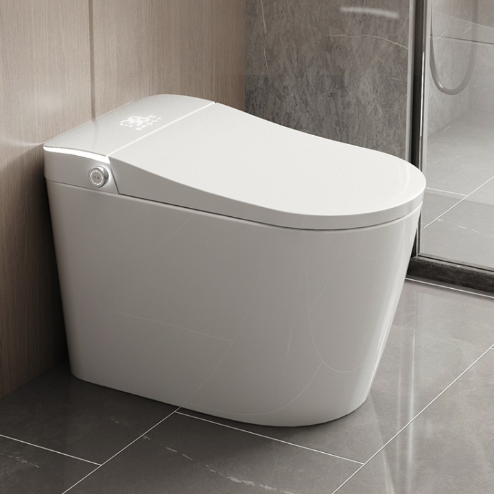 AIDI Smart Siphonic Toilet – Split Type with Remote & Heated Bidet