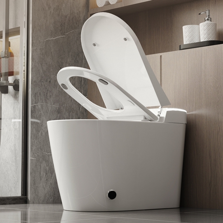 AIDI Smart Siphonic Toilet – Split Type with Remote & Heated Bidet