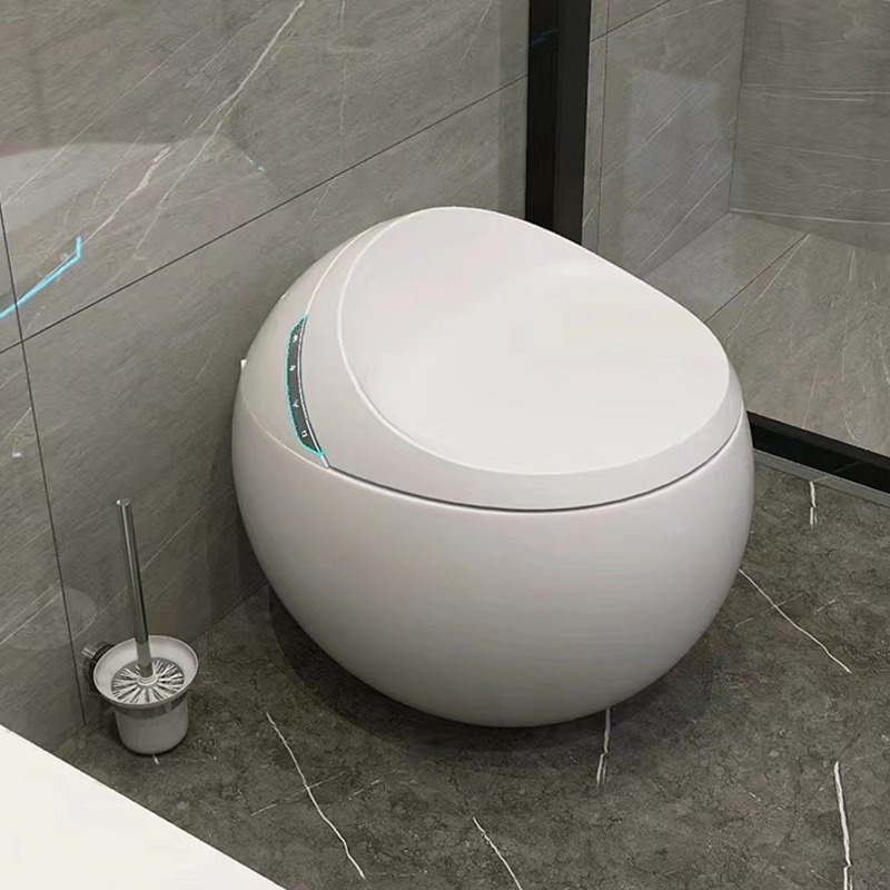 Egg-Shaped Smart Toilet – Factory-Direct Multifunctional Bidet