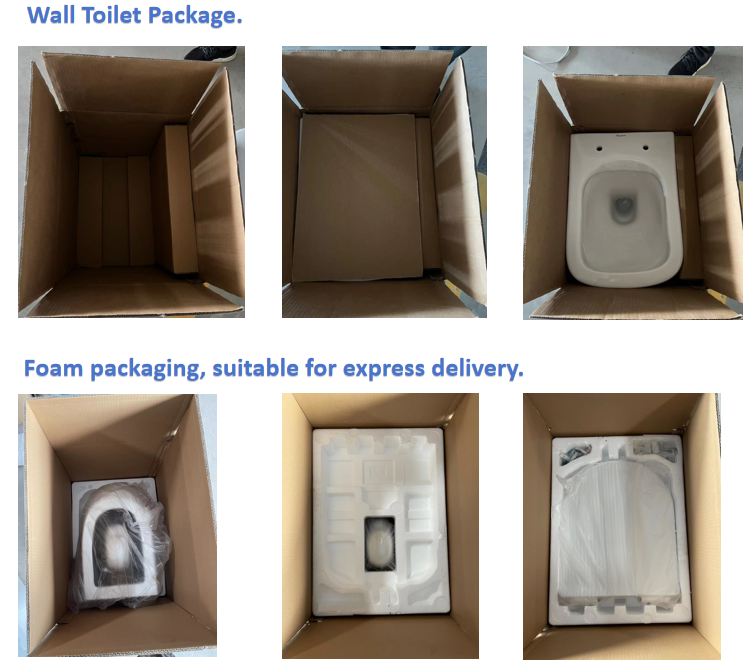 Rimless Wall Hung Toilet Bidet Function Inodoro