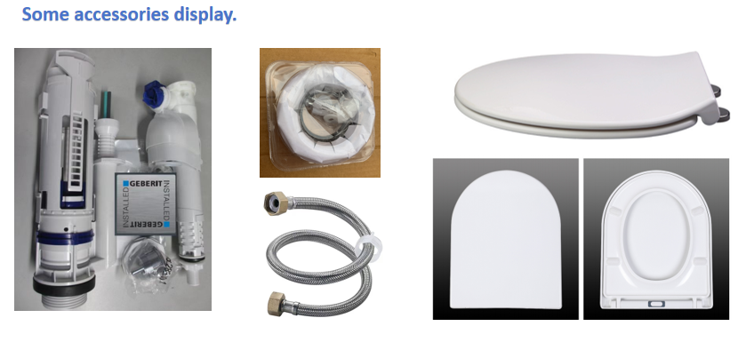 Rimless Wall Hung Toilet Bidet Function Inodoro