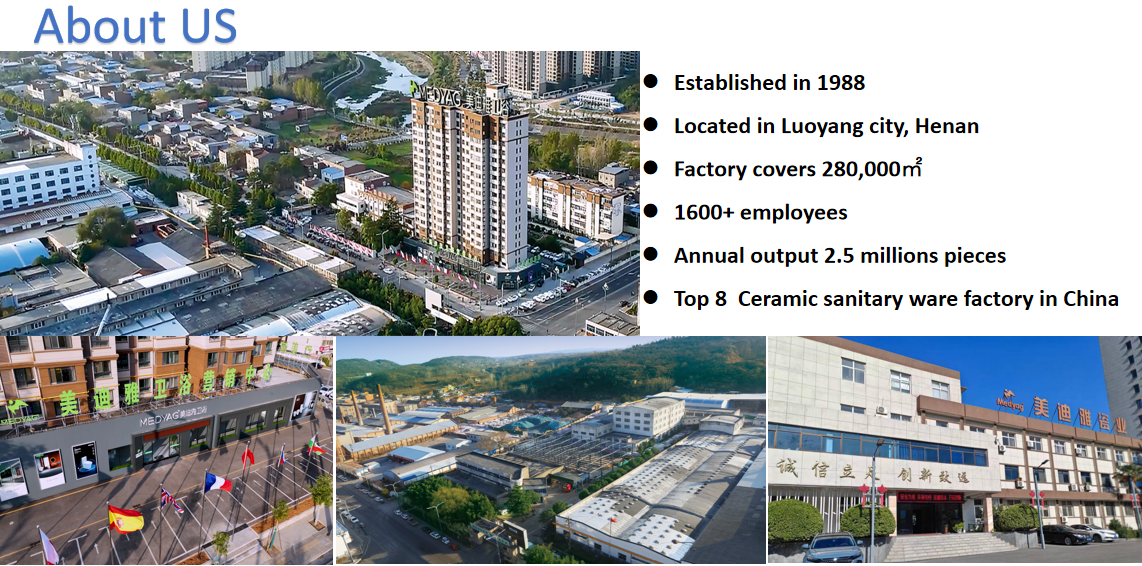 Rimless Wall Hung Toilet Bidet Function Inodoro