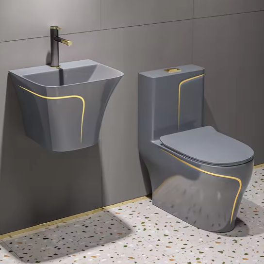 Hot Sell Dual-Flush One-Piece Ceramic Siphonic Toilet with Round Bowl, Modern Floor Mounted WC for Hotel and Project Supply