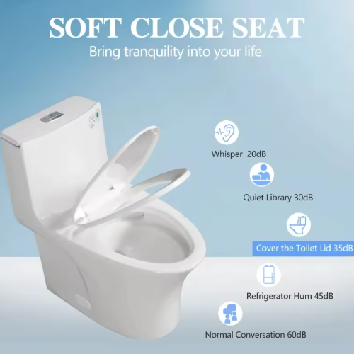 Factory Direct Siphonic One-Piece Ceramic Toilet with Soft Close Seat WC for Mexico Market