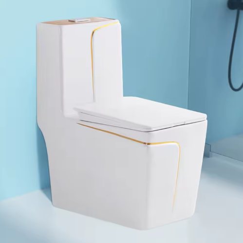 Hot Selling One-Piece Ceramic Toilet with Dual Flush Siphonic System Floor Mounted WC for Home & Hotel Projects