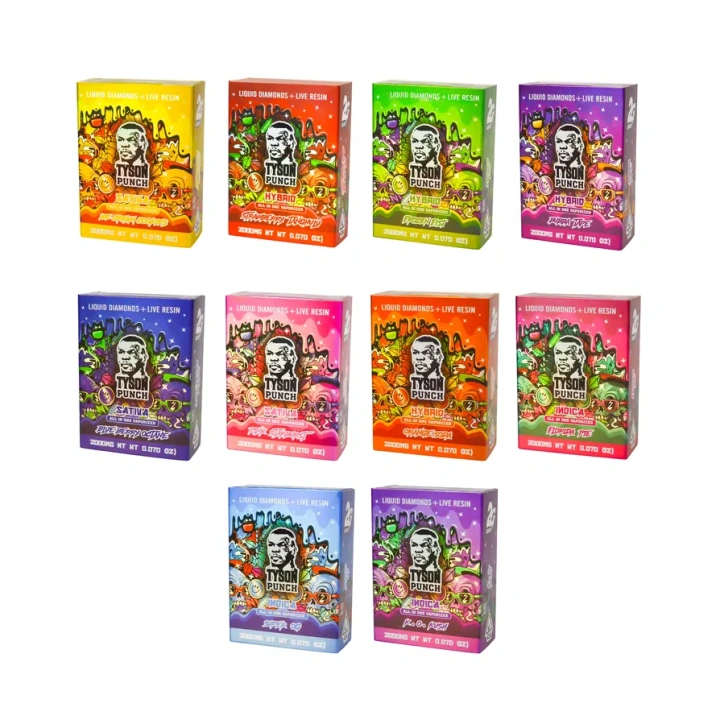 Tyson Punch With Screen 2g Empty Disposable Vape Pen 10 Flavors USA Stock