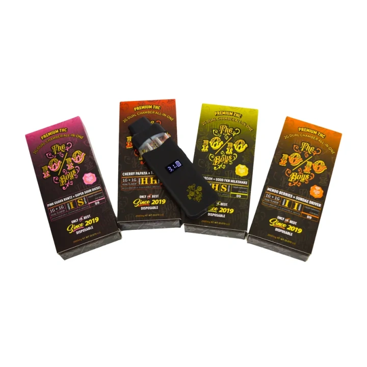 The 10 10 Boys Dual Chamber 1ml+1ml Dual Chamber With Screen 2g Empty Disposable Vape Pen 20 Flavors USA Stock