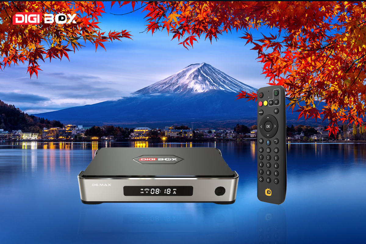 DIGIBox D6 Maxレビュー：高性能だけど注意が必要