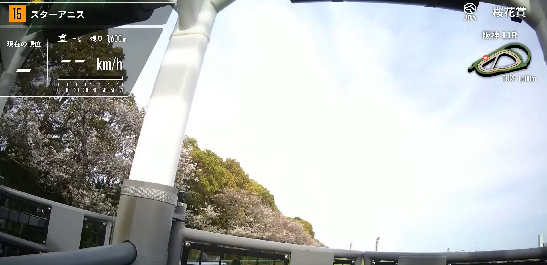 日本競馬の魅力と世界の名レースをリアルタイムで楽しむ方法｜DIGIBox D6 Maxで体感する臨場感あふれる競馬観戦