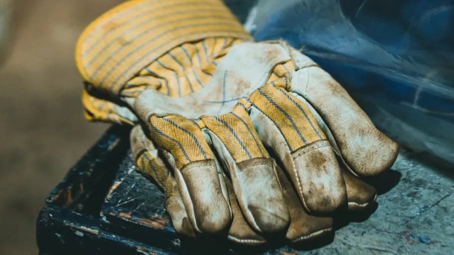What to Look for in Protective Gloves for Cutting