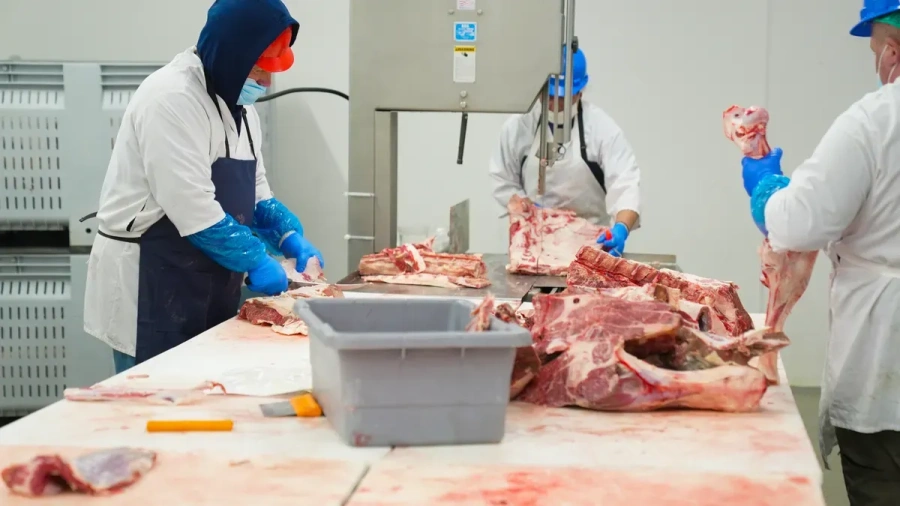 Understanding the Need for Chainmail Gloves in Butchering