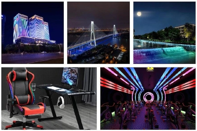 DC12V WS2815 SK6813 RGB digital individual controllable Flex led Strip series
