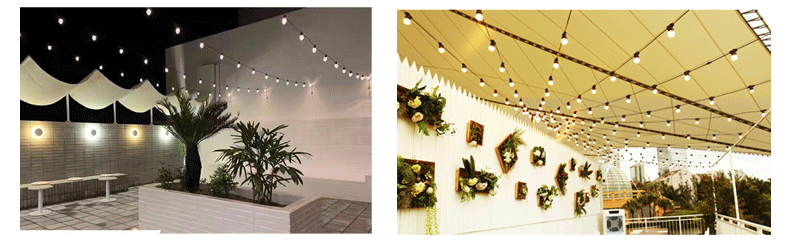 DC12V G50 DMX512 Festoon Bulb Atmosphere Light for Outdoor Camping, Garden, Yard, Wedding Decor (XXA-G50DMX)