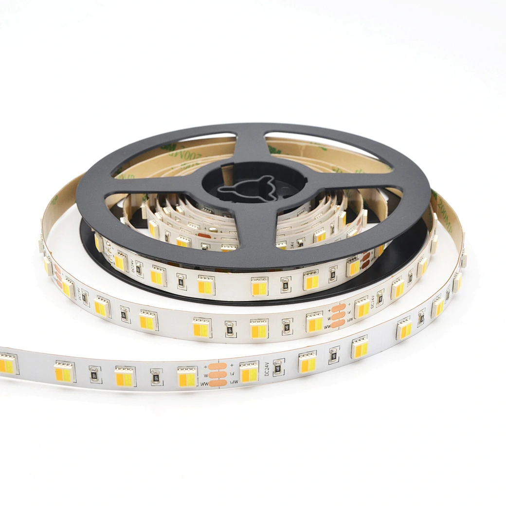 60LEDs/m 5050 2in1 dual white led strip
