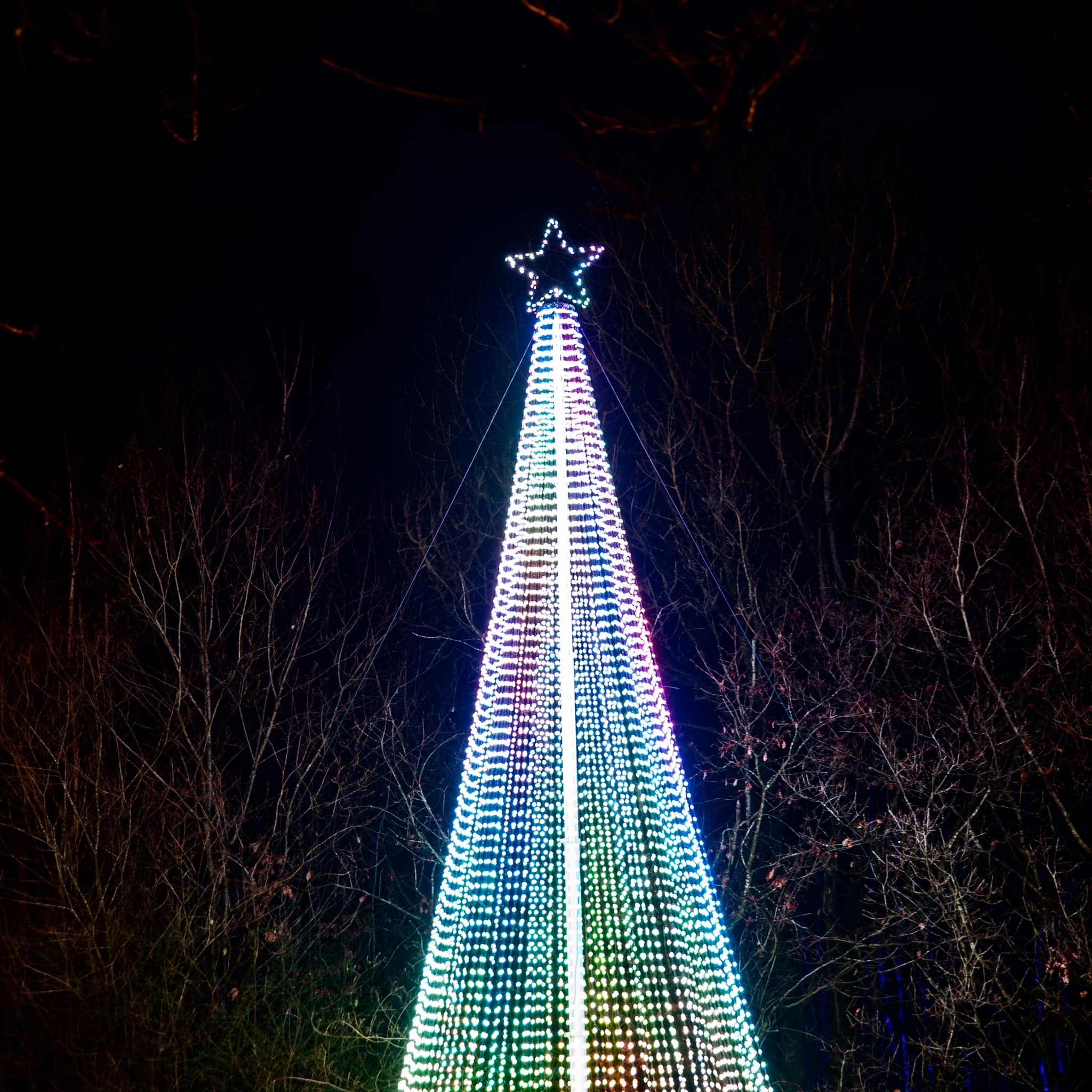 Holiday Pixel String Lights