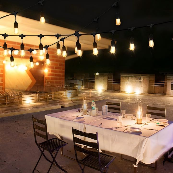 Festoon Lights