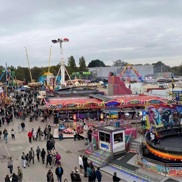 Amusement Point Lights