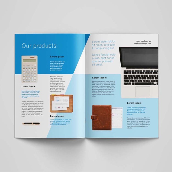 Professional Custom Instruction Manual Printing | A4 Brochure Print Solutions for Business 