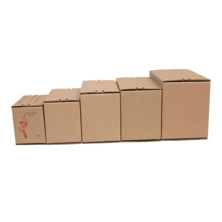 Tape-Free Corrugated Box with Pull Tear Strip | Biodegradable Shipping 