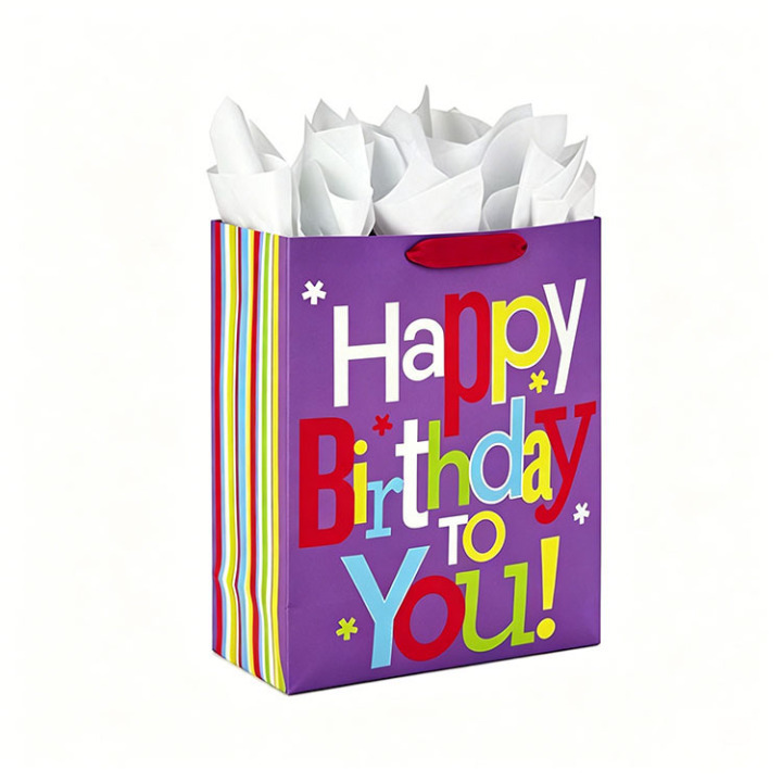 Birthday gift bags | Wholesale Paper Gift Bags for Parties & Events 