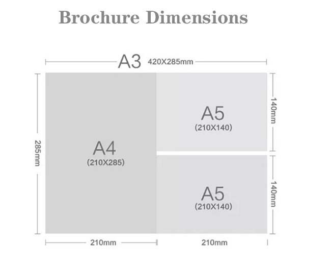 Professional Custom Instruction Manual Printing | A4 Brochure Print Solutions for Business