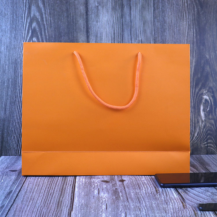 Wholesale Recyclable Luxury Paper Shopping Bags with Printed Logo 