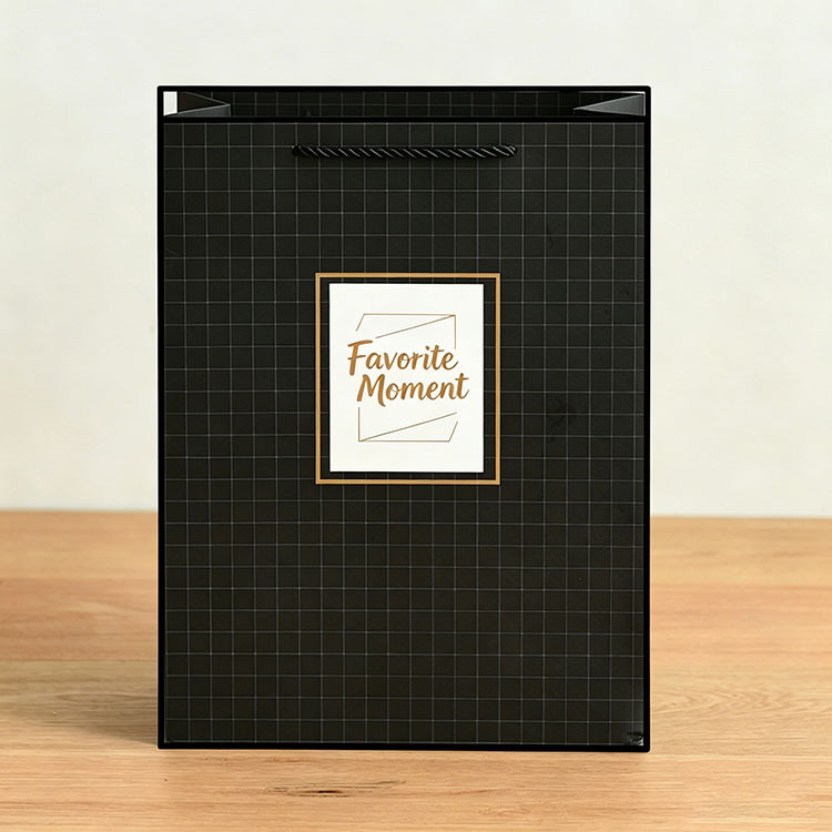 Modern Minimalist Goody Bags | Premium Cotton Rope Handle Wholesale 