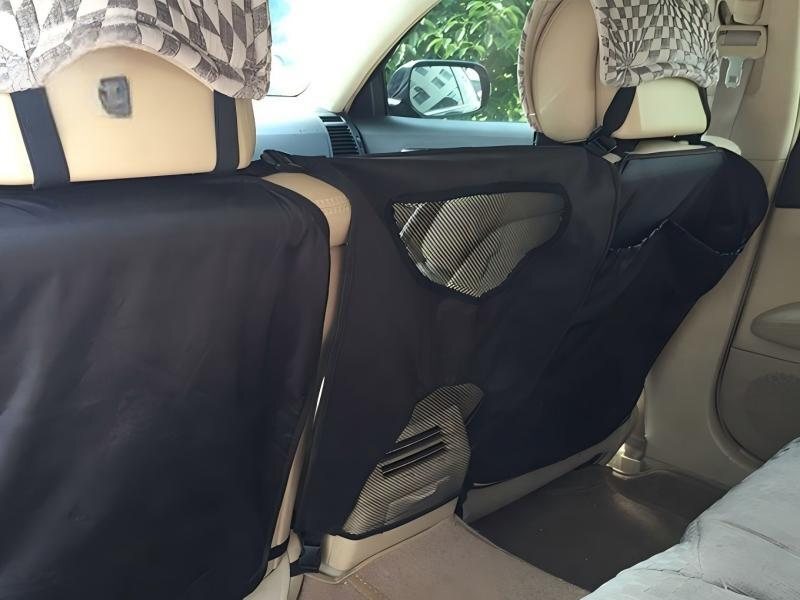 Collapsible rolling pet carrier with breathable mesh