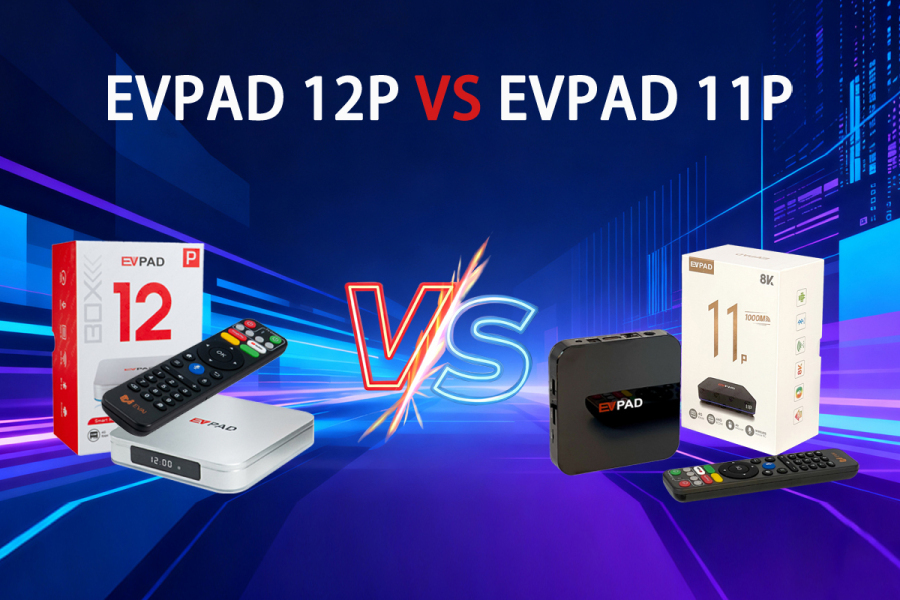 EVPAD 12P と EVPAD 11P の違いとは？