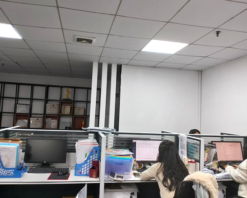 Our Company