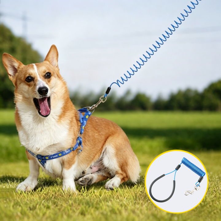 Coiled Dog Anti-Lost Tether, Multi-Use Pet Spring Elastic Rope for Outdoor Walking Camping Travel Coiled Dog Anti-Lost Tether, Multi-Use Pet Spring Elastic Rope for Outdoor Walking Camping Travel Dog Anti-Lost Coiled Leash,Coiled Dog Anti-Lost Tether,Pet Dog Coiled Anti-Lost Rope,coiled lanyard,Outdoor Pet Safety Leash