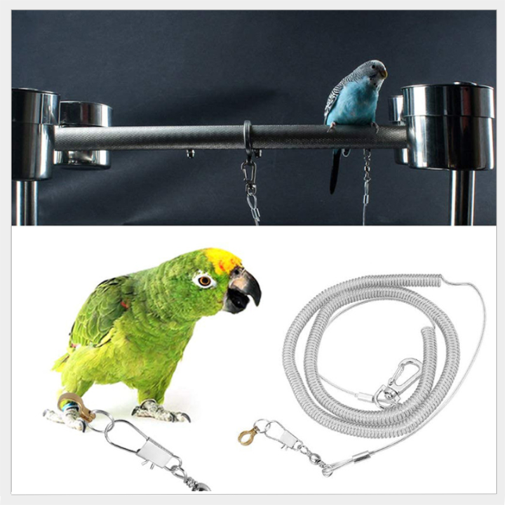Spring Retractable Parrot Leash Anti-Bite Flying Rope Bird Anti-Lost Leash with Foot Ring for Outdoor Training Spring Retractable Parrot Leash Anti-Bite Flying Rope Bird Anti-Lost Leash with Foot Ring for Outdoor Training safe rope for parrots,parrot leg leash,bird anti-lost leash,retractable bird leash,parrot flying leash