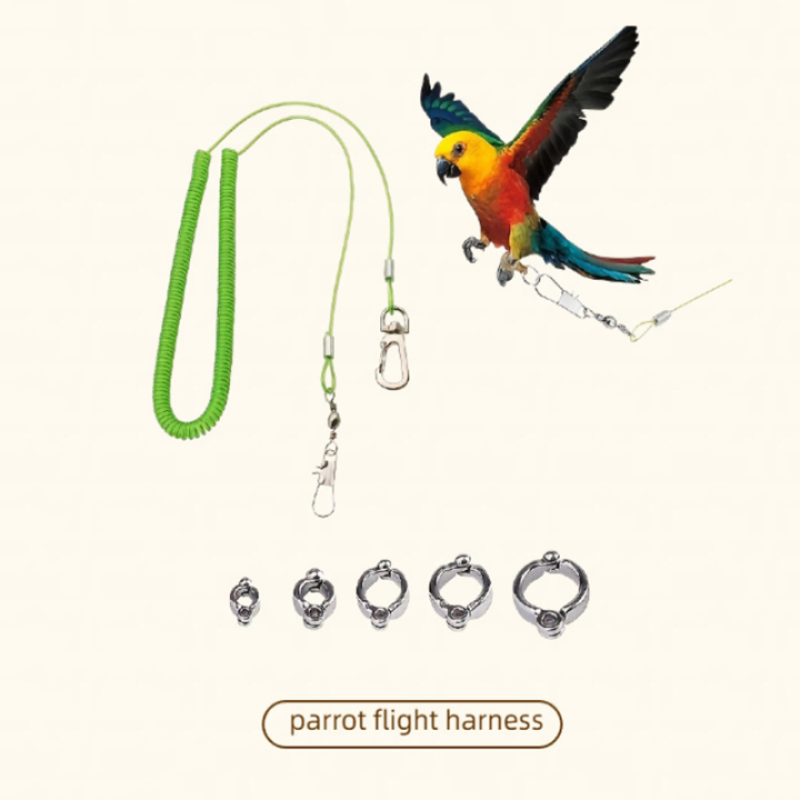 Spring Retractable Parrot Leash Anti-Bite Flying Rope Bird Anti-Lost Leash with Foot Ring for Outdoor Training Spring Retractable Parrot Leash Anti-Bite Flying Rope Bird Anti-Lost Leash with Foot Ring for Outdoor Training safe rope for parrots,parrot leg leash,bird anti-lost leash,retractable bird leash,parrot flying leash