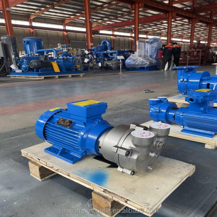 Customizable Industrial Stainless Steel AC Motor Water Ring Vacuum Pump Compressor High Vacuum 2BV-5111 OEM High Water Electric Customizable Industrial Stainless Steel AC Motor Water Ring Vacuum Pump Compressor High Vacuum 2BV-5111 OEM High Water Electric Water Ring Vacuum Pump