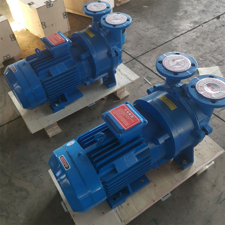 Hot Selling 2BV-5121 Water Ring Vacuum Pump for Industrial Applications Hot Selling 2BV-5121 Water Ring Pump for Industrial Applications Water Ring Vacuum Pump